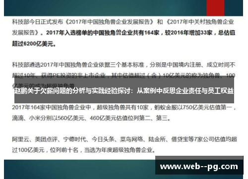 赵鹏关于欠薪问题的分析与实践经验探讨：从案例中反思企业责任与员工权益