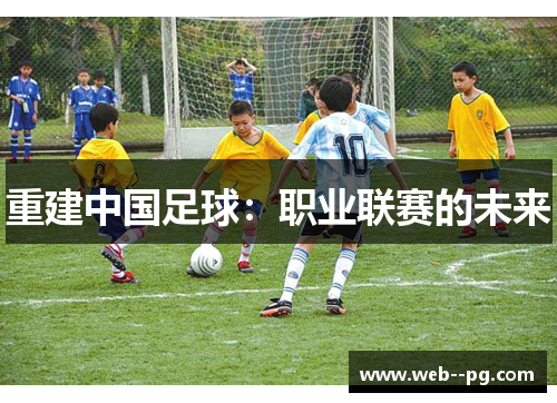 重建中国足球：职业联赛的未来