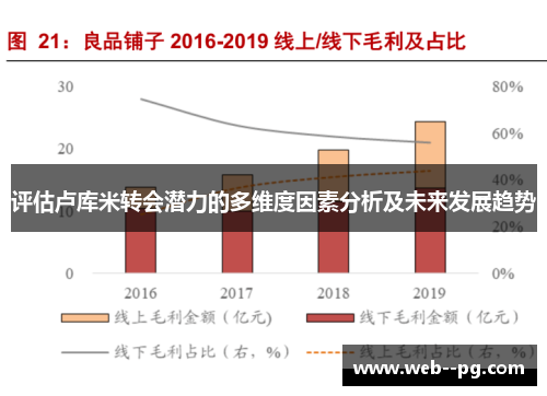 评估卢库米转会潜力的多维度因素分析及未来发展趋势
