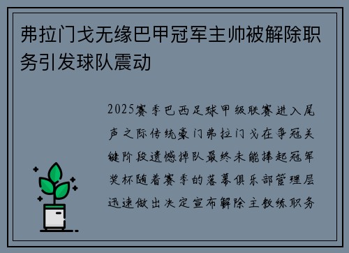 弗拉门戈无缘巴甲冠军主帅被解除职务引发球队震动