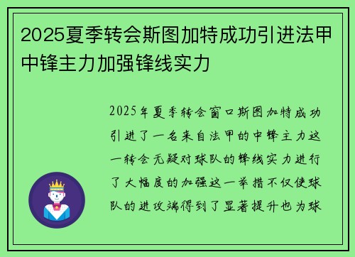 2025夏季转会斯图加特成功引进法甲中锋主力加强锋线实力