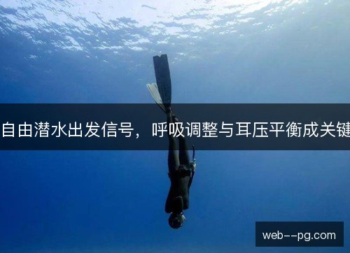 自由潜水出发信号,呼吸调整与耳压平衡成关键 自由潜水出发信号,呼吸调整与耳压平衡成关键